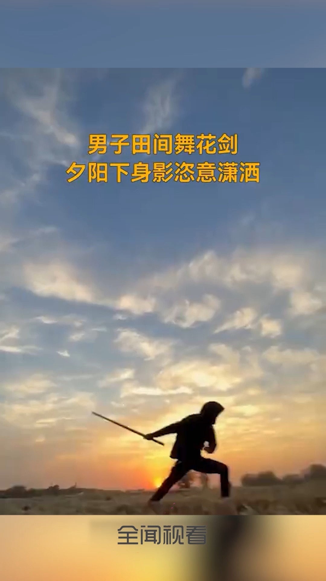 男子田间舞花剑,夕阳下身影恣意潇洒.