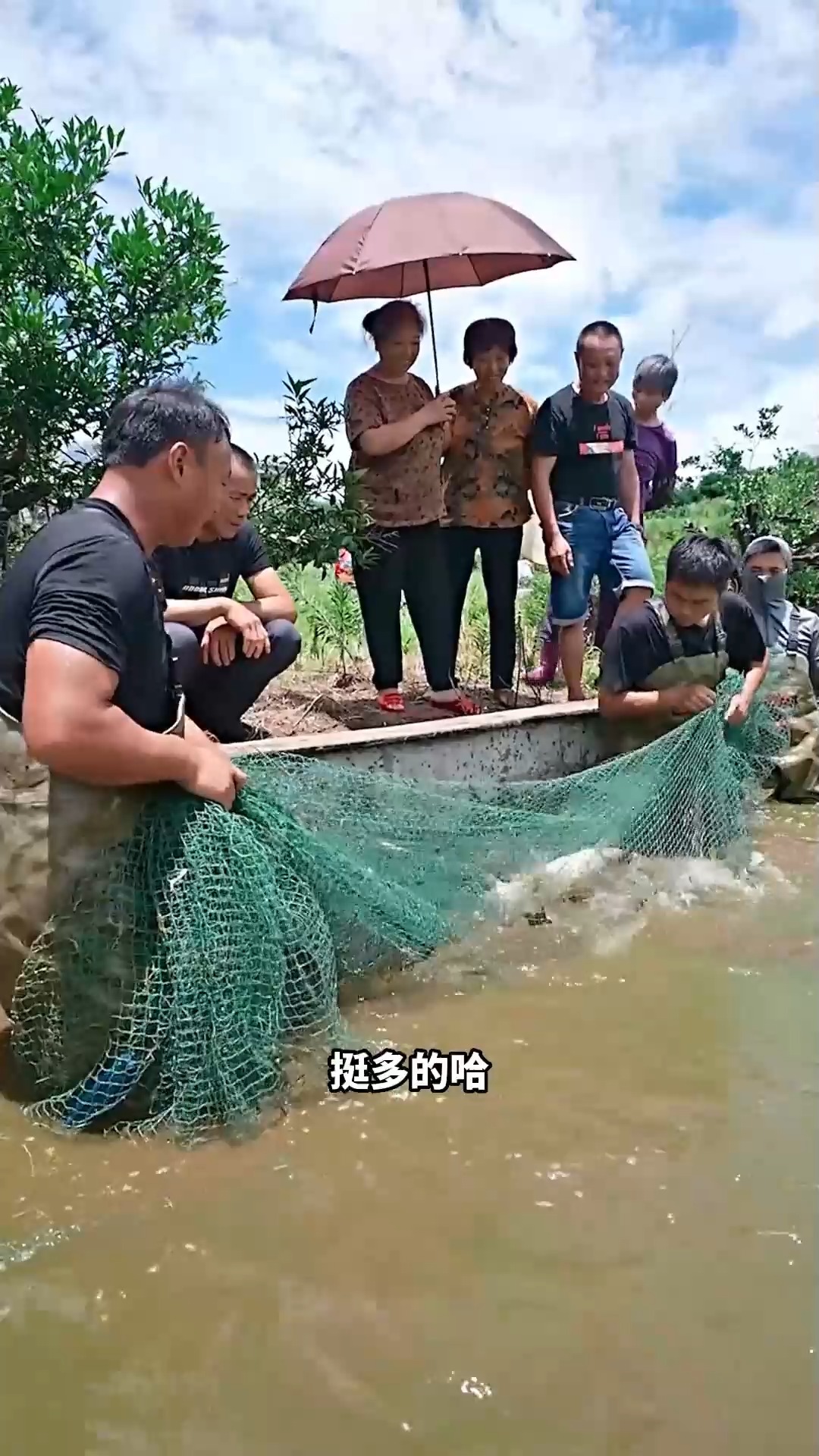 花2200块包下一个叔叔的甲鱼塘,用网在里面拉一网,到底能拉到什么?第七集