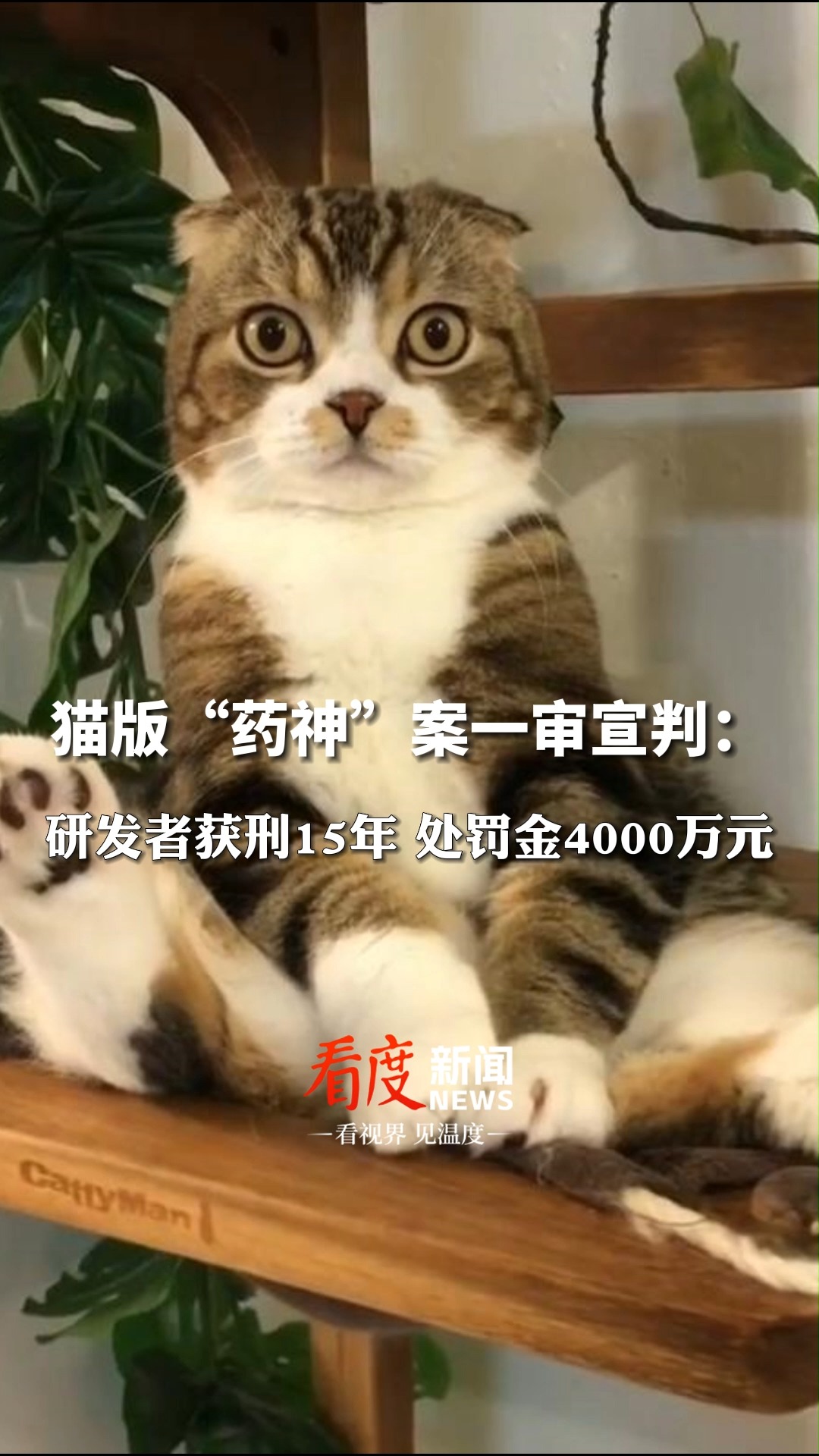 6月30日,#上海猫版药神案一审宣判 :研发者获刑15年罚4000万,多名生产、经销商获刑