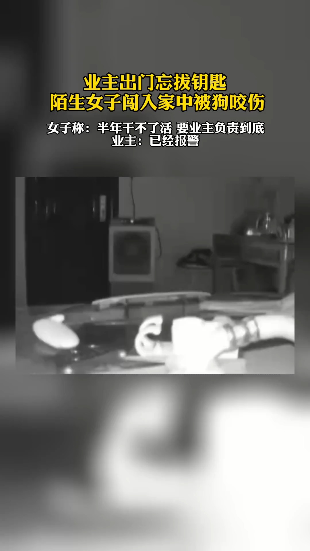 业主出门忘拔钥匙 陌生女子闯入家中被狗咬伤 女子称:半年干不