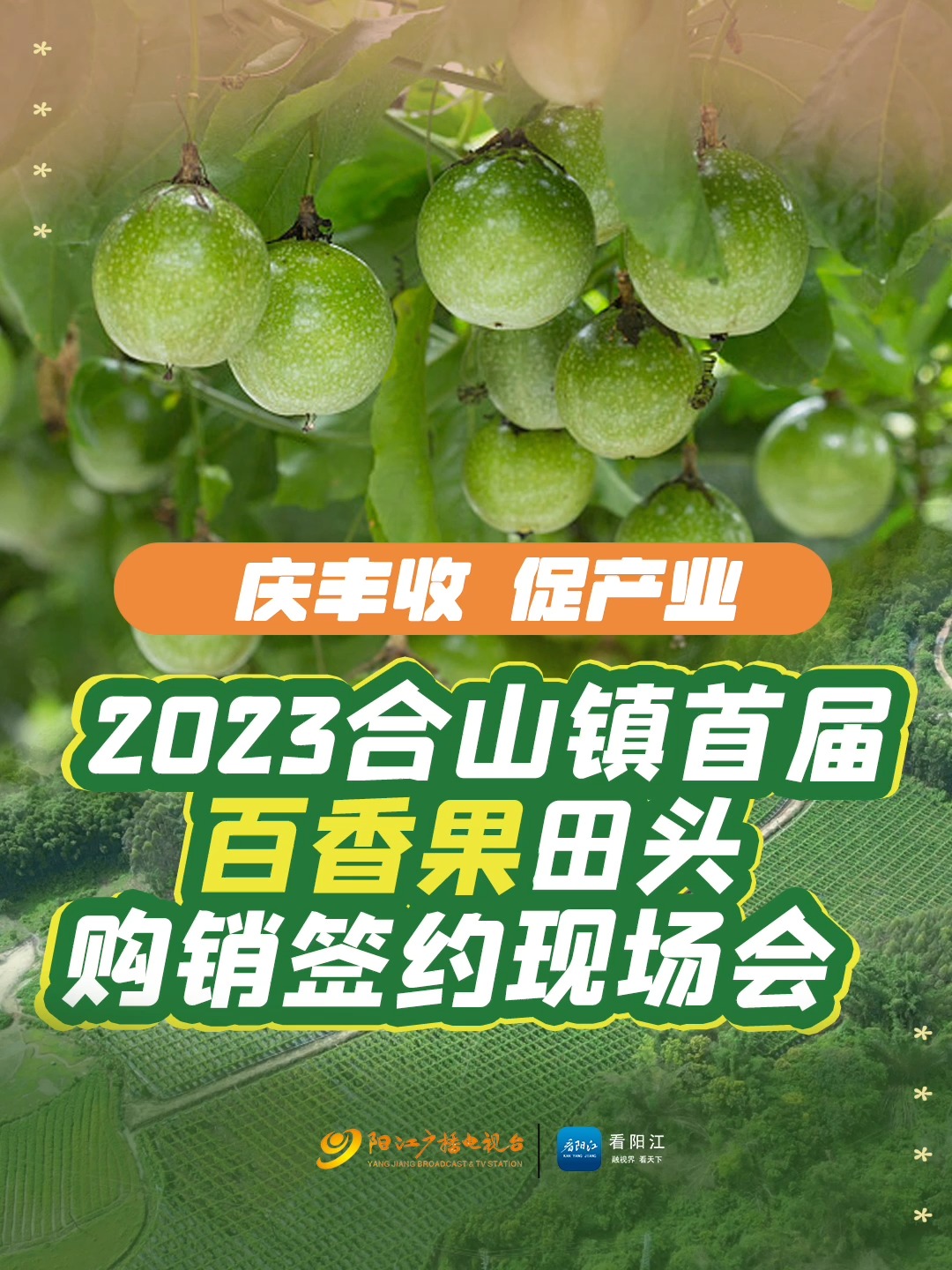 “庆丰收 促产业”2023合山镇首届百香果田头购销签约现场会举行