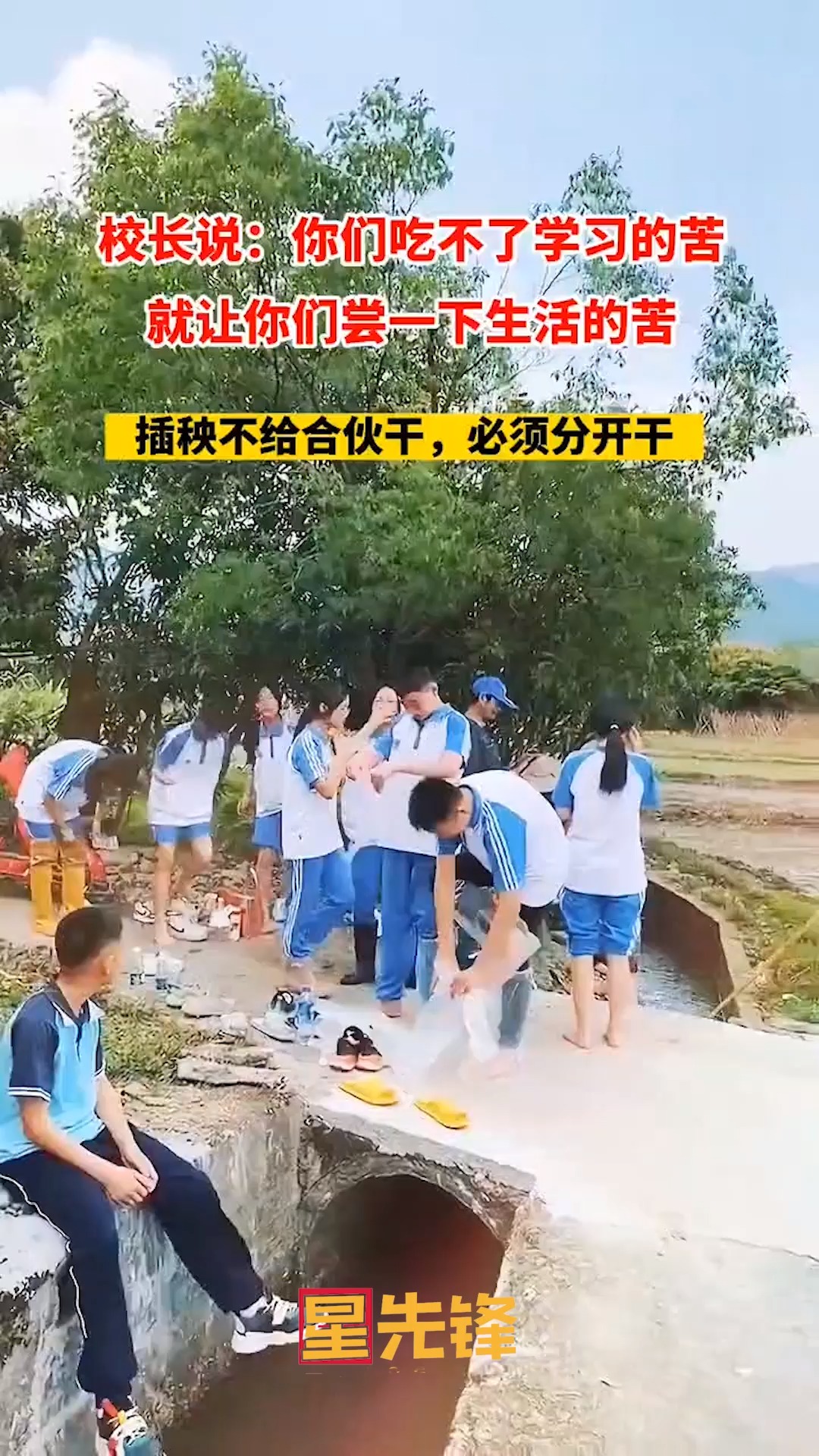 你觉得学校这个安排怎么样?