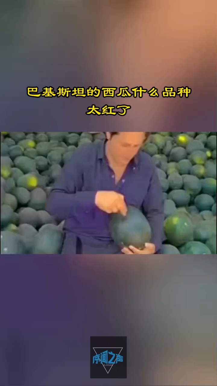 巴基斯坦的西瓜什么品种,太红了