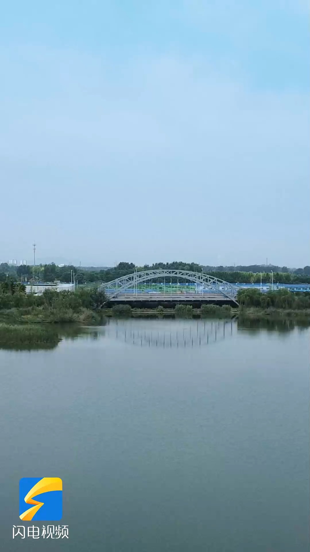 雨后淄博玉龙湖航拍!城市里的绿意空间 鸟儿自由翱翔