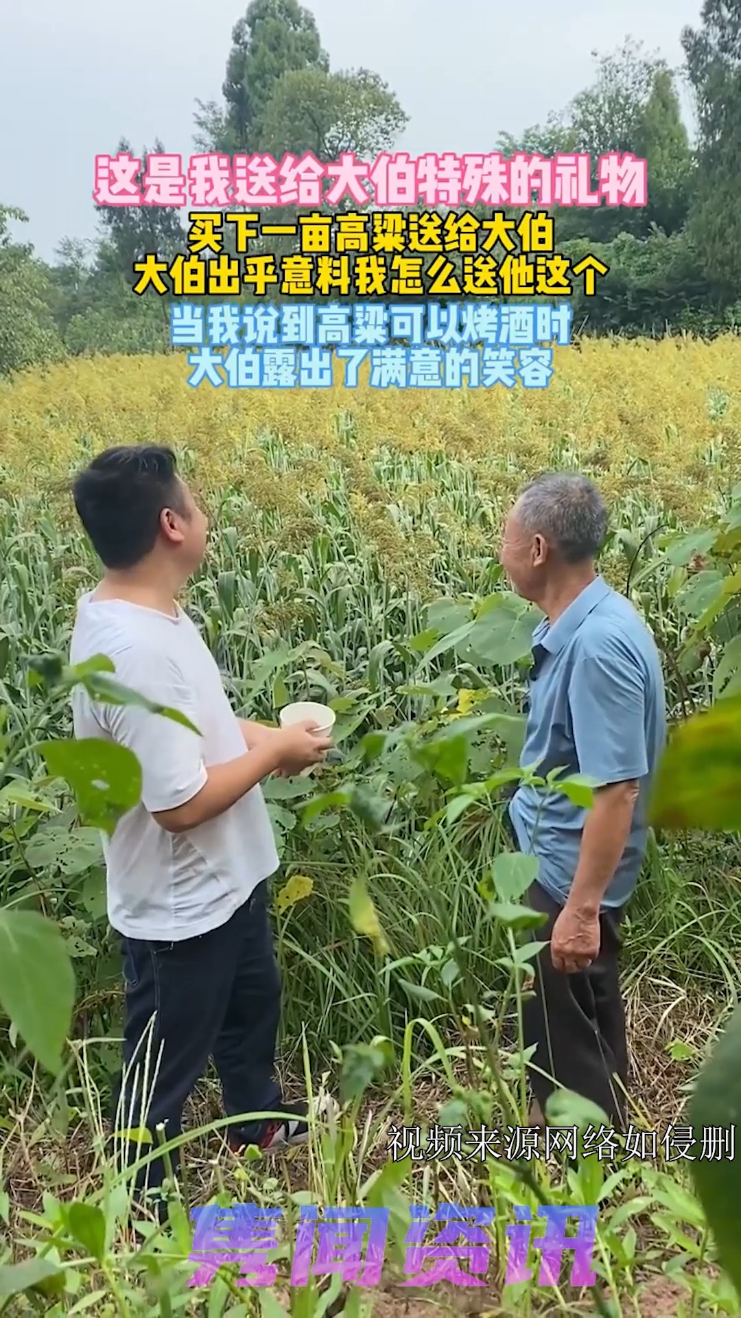 当大伯看到这片高粱后,露出了满意的笑容!说明我的选择是正确的! 