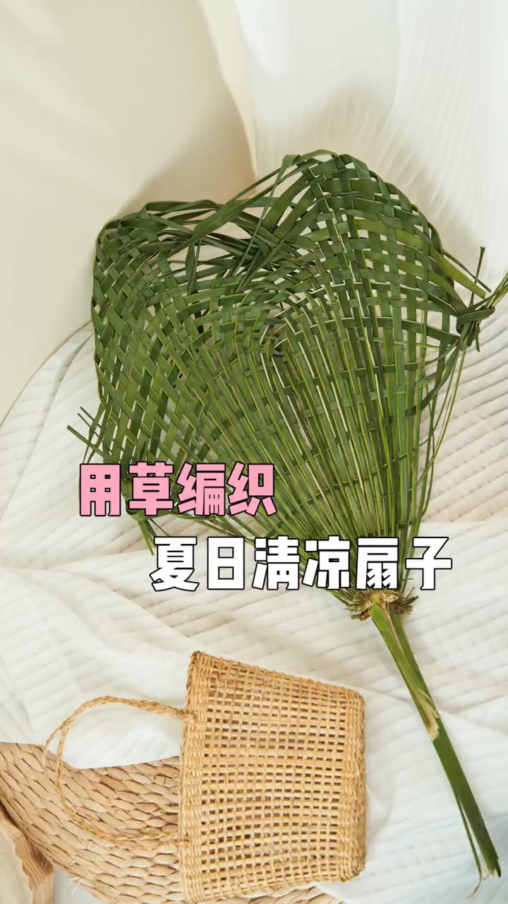 看似简单的草编扇居然这么难?你们有编成功的嘛?教教我#求一个神评加持