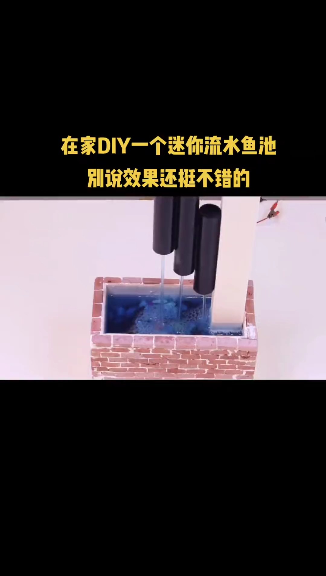 在家DIY一个迷你流水鱼池,别说效果还挺不错的.手工创意diy生活小妙招.