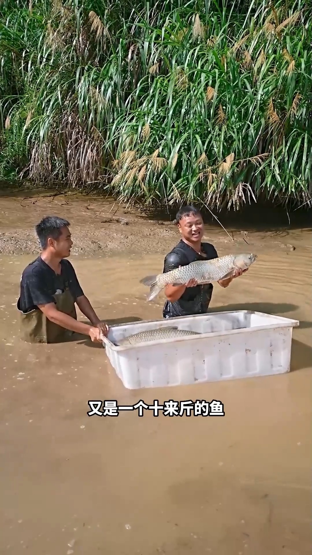 今天花1500包下爷爷山沟小鱼塘,巨物鱼王现身,想不到里面的鱼竟然这么大?第六集