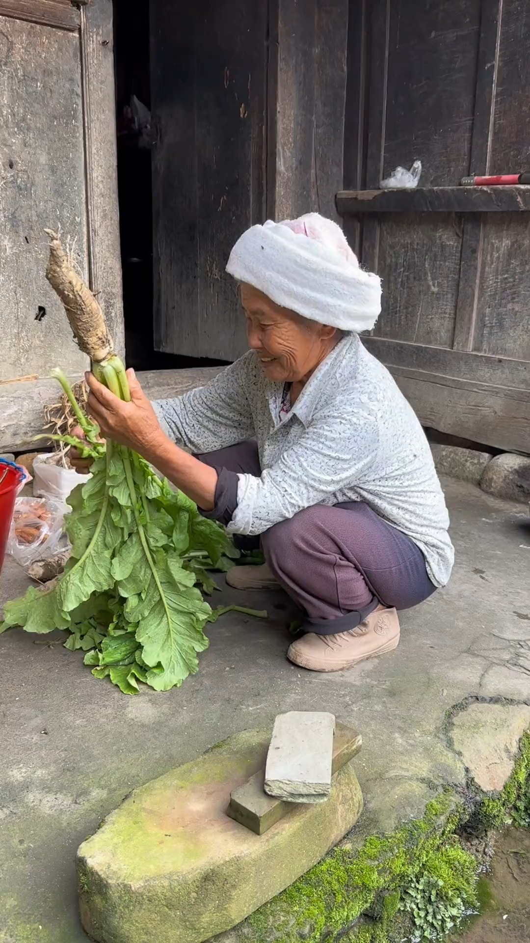 云南人吃菌子的季节