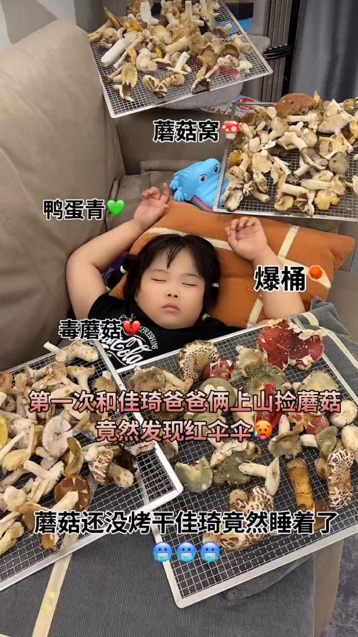 佳琦这次可算是实现蘑菇自由了