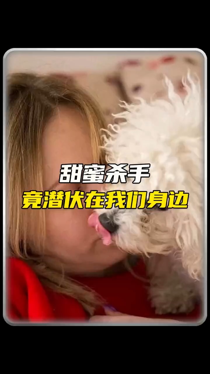 他只是被狗舔了一下 就这样了