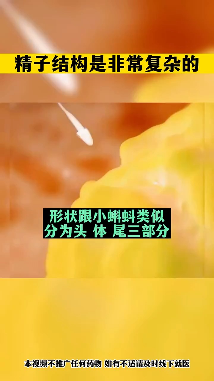 精子结构是非常复杂的